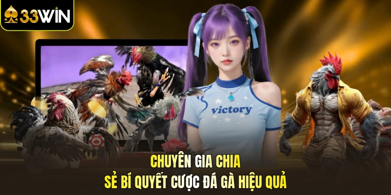 Chuyên gia chia sẻ bí quyết cược đá gà hiệu quả