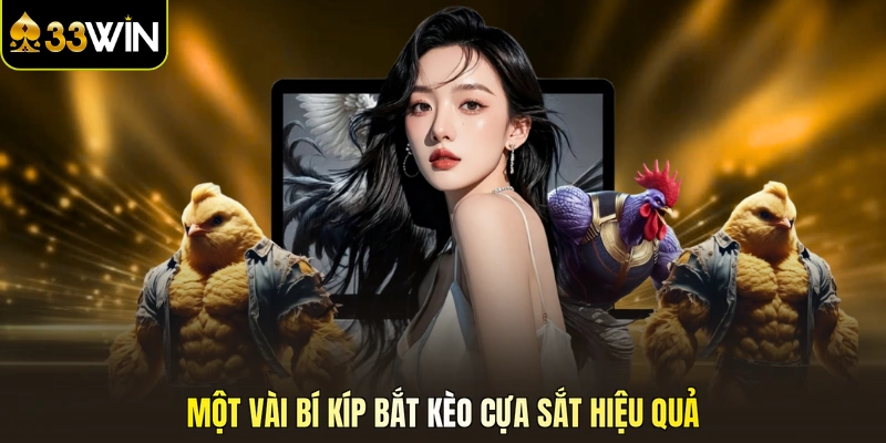 Một vài bí kíp bắt kèo cựa sắt hiệu quả