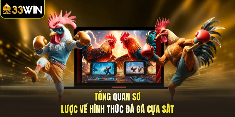 Tổng quan sơ lược về hình thức đá gà cựa sắt
