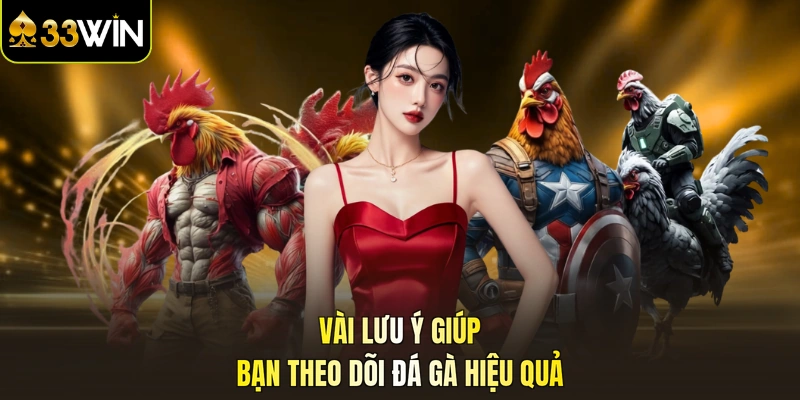 Vài lưu ý giúp bạn theo dõi đá gà hiệu quả